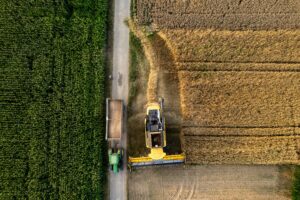 bernd-dittrich-aAAXPgwyMtc-unsplash