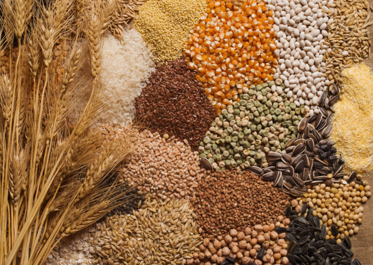 Cereal,Grains,,,Seeds,,Beans Cereal,Grains,,,Seeds,,Beans