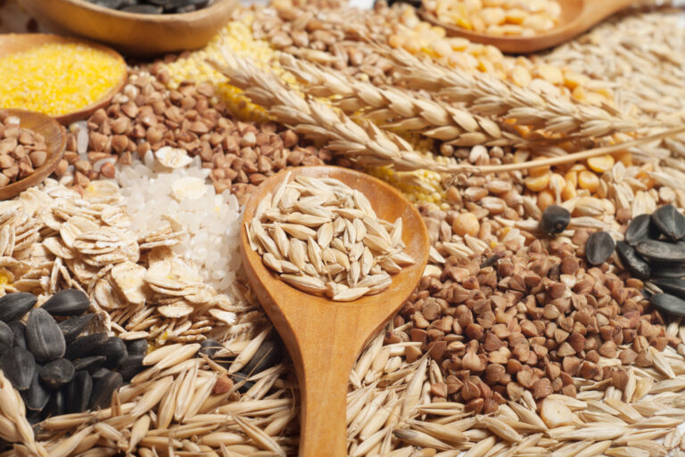 Meet Us at Food Ingredients Europe