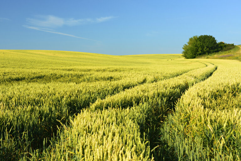 Meet Us at 2nd European Carbon Farming Summit