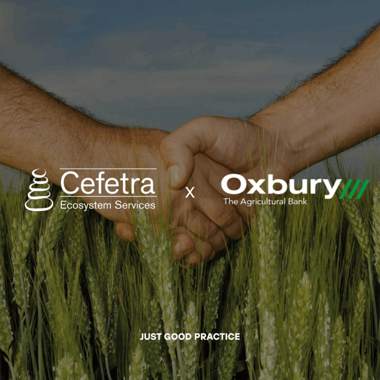 Derisking Regenerative Agriculture 