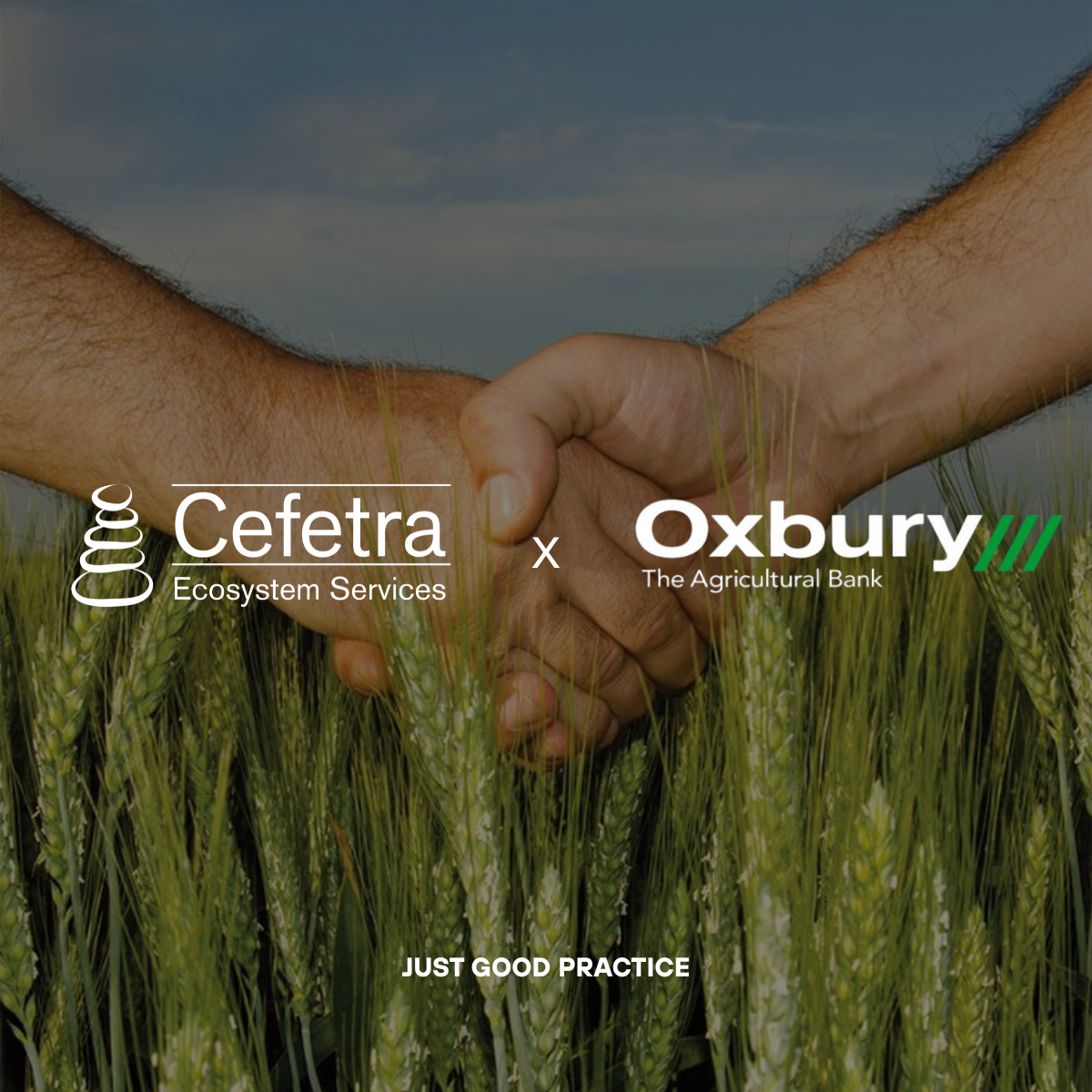 Derisking Regenerative Agriculture 