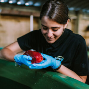 Ivana Russo, Formulation Manager & Sustainability Lead at BioMar, while working with a red fish
