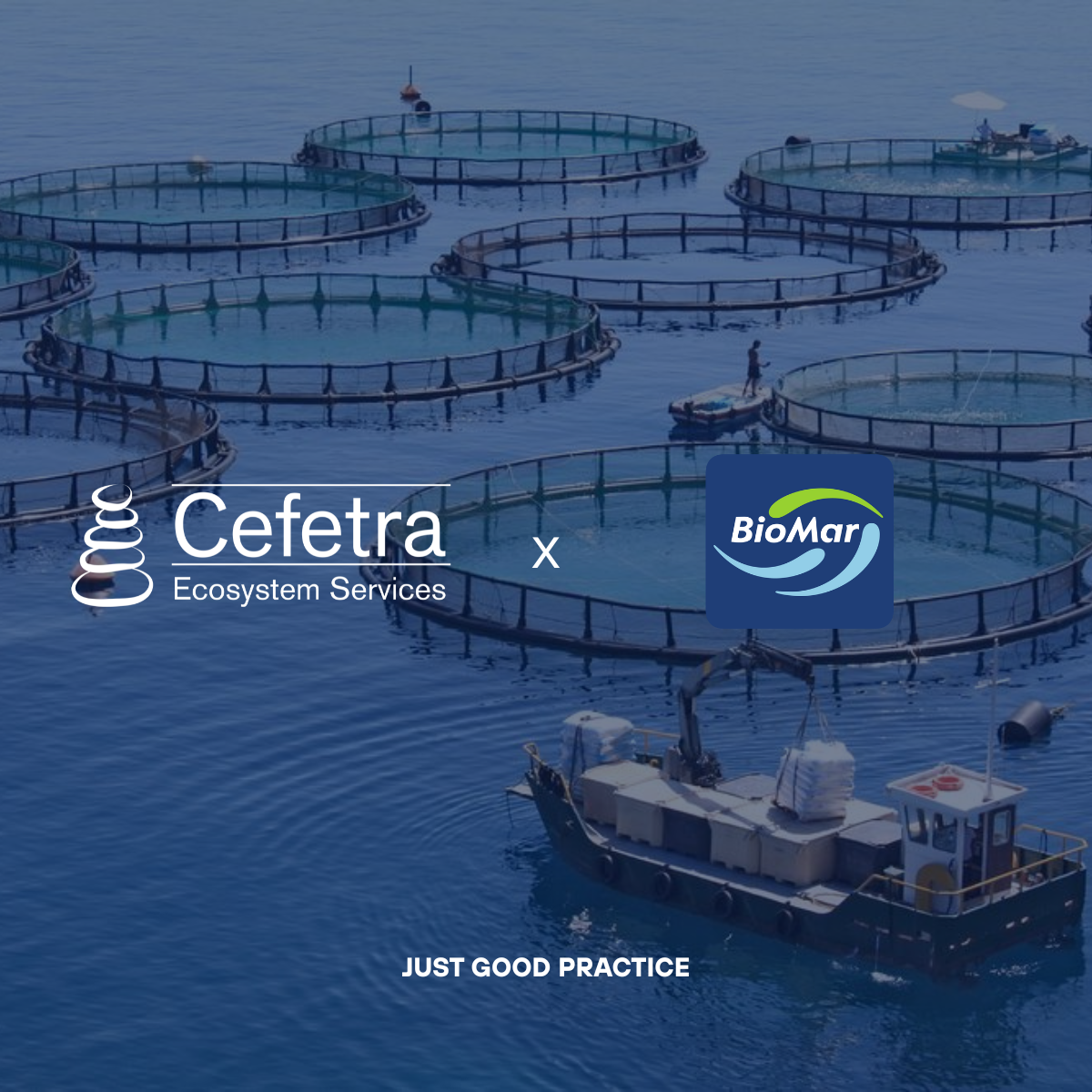 BioMar and Cefetra Join Forces to Cut Emissions from Crop to Coast