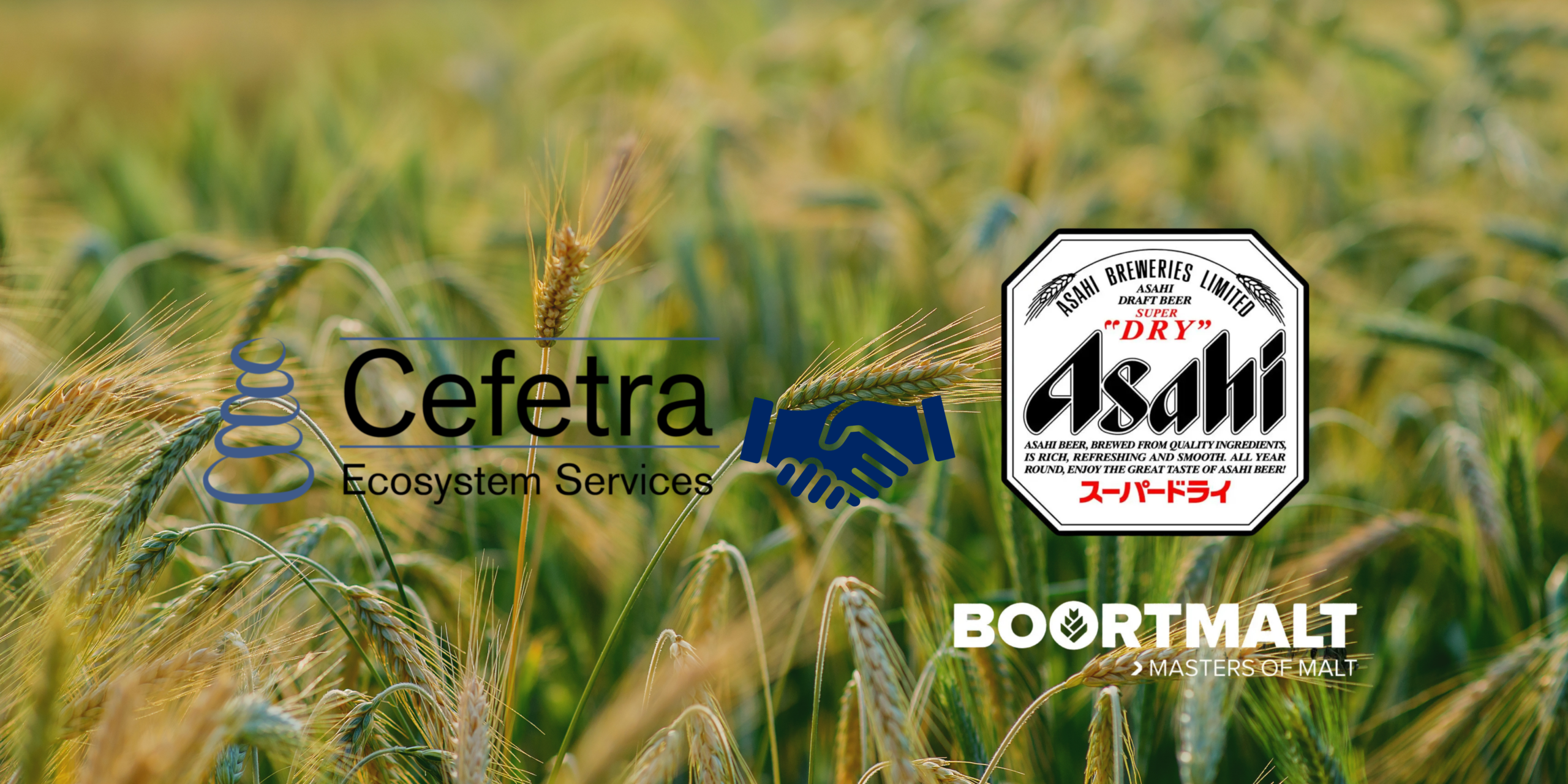 Supporting regenerative barley farming across the UK